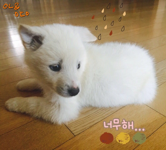 오가희 기자 solea@donga.com 제공